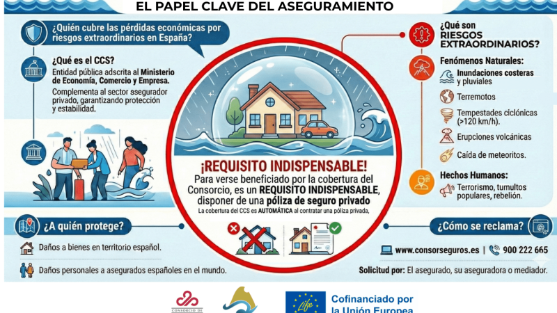 EL PAPEL CLAVE DEL ASEGURAMIENTO
