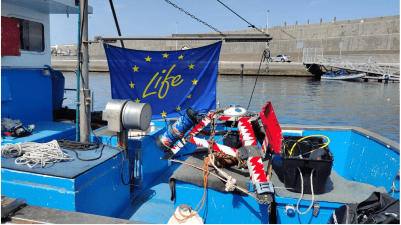 LIFE-garachico